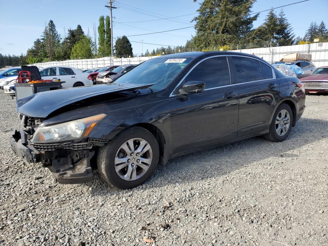 Graham, WA에서 판매 중인 2011 Honda Accord Se - All Over
