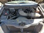 2004 Ford F150  للبيع في Brighton، CO - Rear End