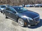 2019 Cadillac Xts Luxury იყიდება Marlboro-ში, NY - Minor Dent/Scratches