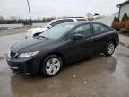 2015 Honda Civic Lx zu verkaufen in Louisville, KY - Hail
