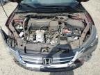 2015 Honda Accord Exl de vânzare în Riverview, FL - Frame Damage