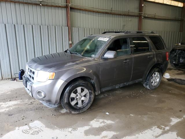 2010 Ford Escape Limited