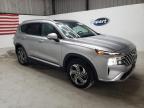 2023 Hyundai Santa Fe Sel Premium na sprzedaż w Jacksonville, FL - Rear End