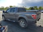 2012 Ford F150 Supercrew zu verkaufen in Spartanburg, SC - Rear End