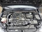 2019 Toyota Corolla Se en Venta en Louisville, KY - Hail