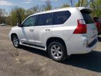 2011 Lexus Gx 460 на продаже в Marlboro, NY - Side