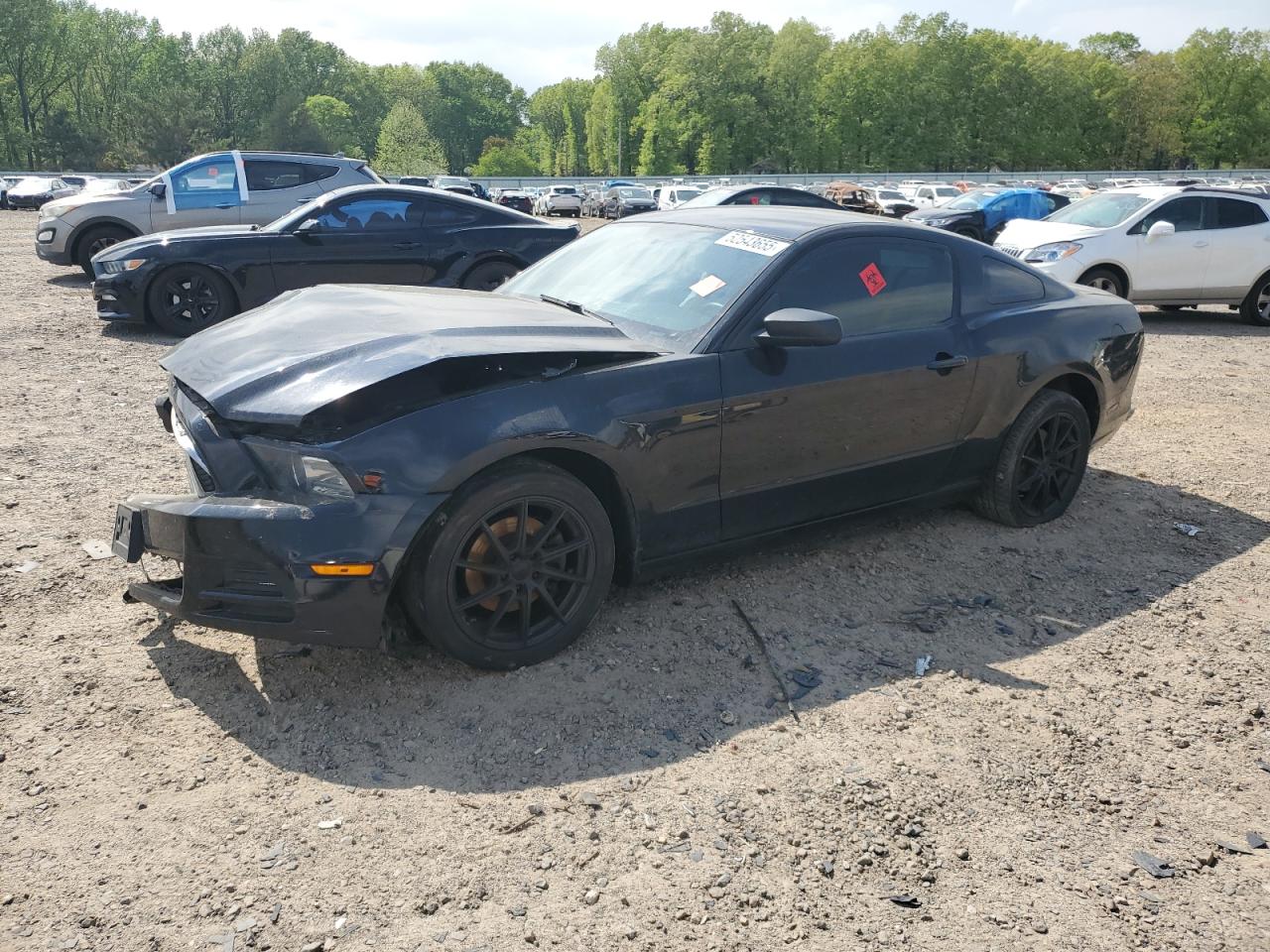 2014 Ford Mustang zu verkaufen in Conway, AR - Front End