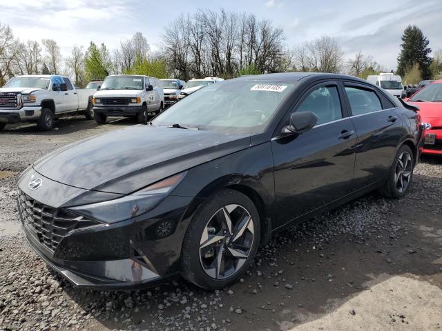 HYUNDAI ELANTRA LI 2023