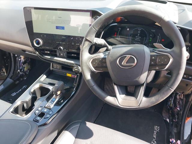 2024 LEXUS NX 450H +