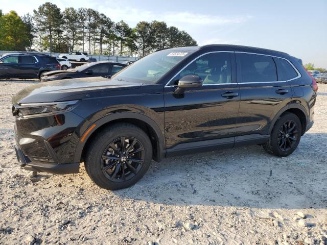 HONDA CR-V SPORT 2024