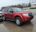 2008 Ford Escape Xlt for Sale in Pekin, IL - All Over