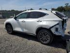 Riverview, FL에서 판매 중인 2025 Lexus Nx 250 Premium   - Rear End