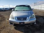 Helena, MT에서 판매 중인 2010 Honda Odyssey Exl - Front End