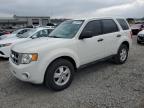 2011 Ford Escape Xls for Sale in Earlington, KY - Hail