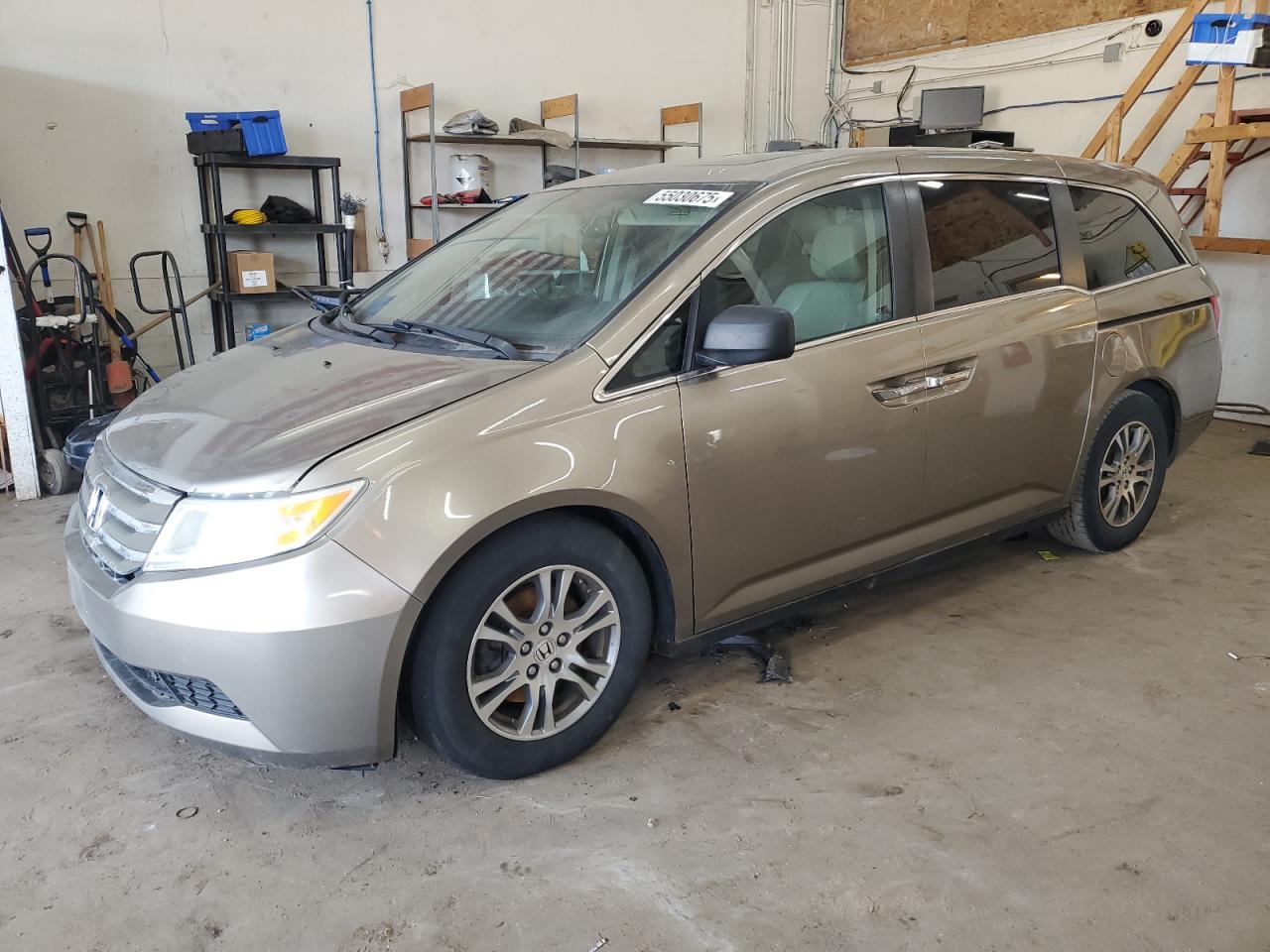 2011 Honda Odyssey Exl zu verkaufen in Ham Lake, MN - Hail