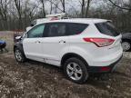 2014 Ford Escape Se for Sale in Cicero, IN - Front End
