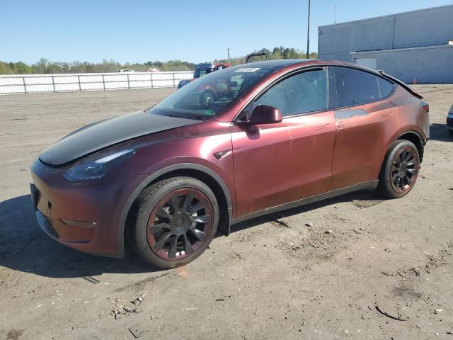  TESLA MODEL Y 2024 Purple
