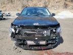 2024 Hyundai Kona Limited for Sale in Marlboro, NY - Rear End