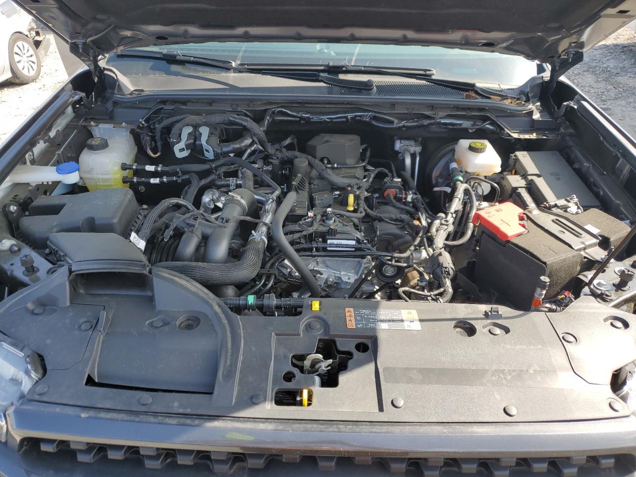 1FTER4GH4RLE16689 FORD RANGER 2024