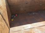 Apopka, FL에서 판매 중인 2021 American Made Products Dump Trailer - Minor Dent/Scratches
