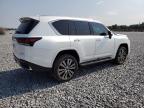 2023 Lexus Lx 600 Base იყიდება Arcadia-ში, FL - Rollover