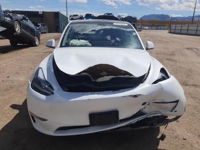  TESLA MODEL Y 2024 Белый