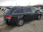 2014 Honda Odyssey Exl на продаже в Indianapolis, IN - Front End