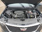 2024 Cadillac Xt6 Premium Luxury за продажба в Davison, MI - Water/Flood