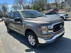 2023 Ford F150 Supercrew zu verkaufen in North Billerica, MA - Minor Dent/Scratches