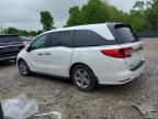 2020 Honda Odyssey Exl იყიდება Madisonville-ში, TN - Water/Flood