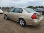 2006 Chevrolet Malibu Lt en Venta en Elgin, IL - Front End