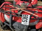2013 HONDA TRX420 PG for sale at Copart AB - EDMONTON
