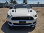 Newton, AL에서 판매 중인 2017 Ford Mustang Gt - Rear End