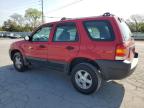 2002 Ford Escape Xls იყიდება Lebanon-ში, TN - Front End