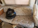 1999 Ford F550 Super Duty Stripped Chassis for Sale in Greenwell Springs, LA - Front End