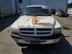 1999 Dodge Dakota  na sprzedaż w Vallejo, CA - Minor Dent/Scratches