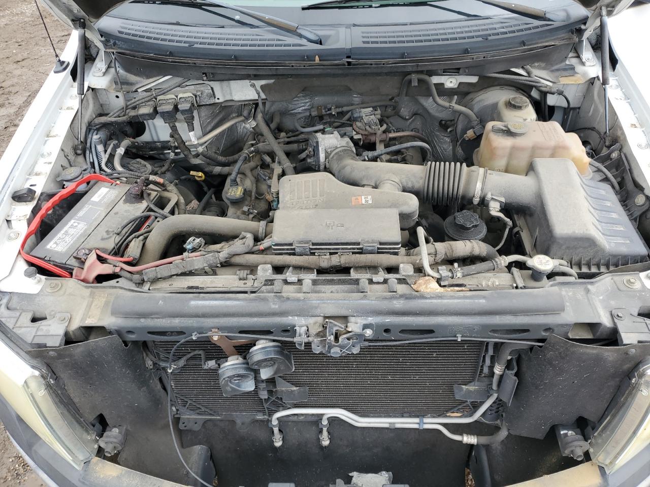 2010 Ford F150 VIN: 1FTMF1CW4AKA46524 Lot: 50549035