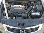 2008 Honda Accord Exl للبيع في Orlando، FL - Rear End