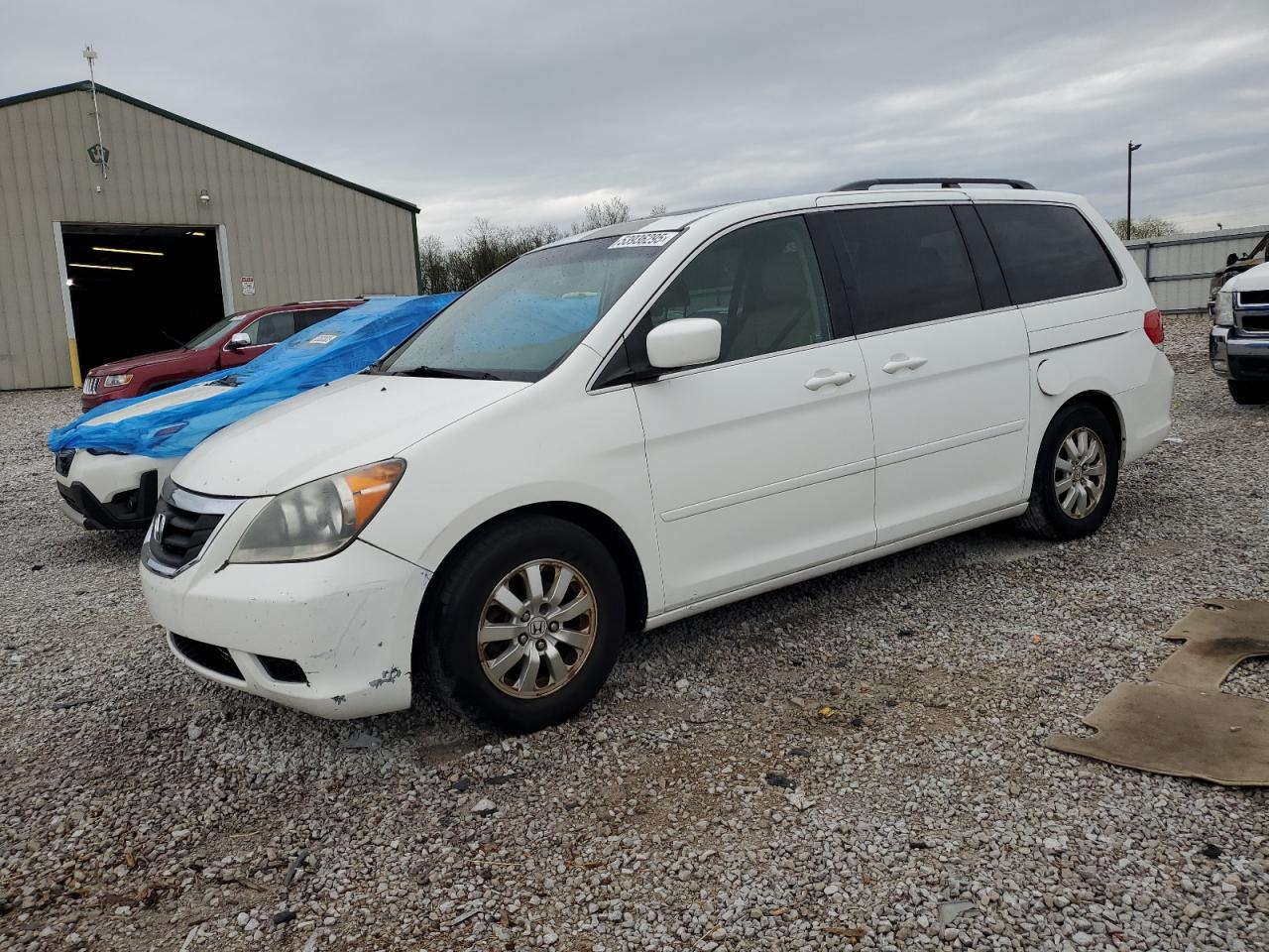 2010 Honda Odyssey Exl na sprzedaż w Lawrenceburg, KY - Minor Dent/Scratches