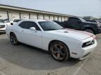 2013 Dodge Challenger Sxt na sprzedaż w Louisville, KY - All Over