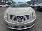 2013 Cadillac Srx Luxury Collection на продаже в Opa Locka, FL - Water/Flood