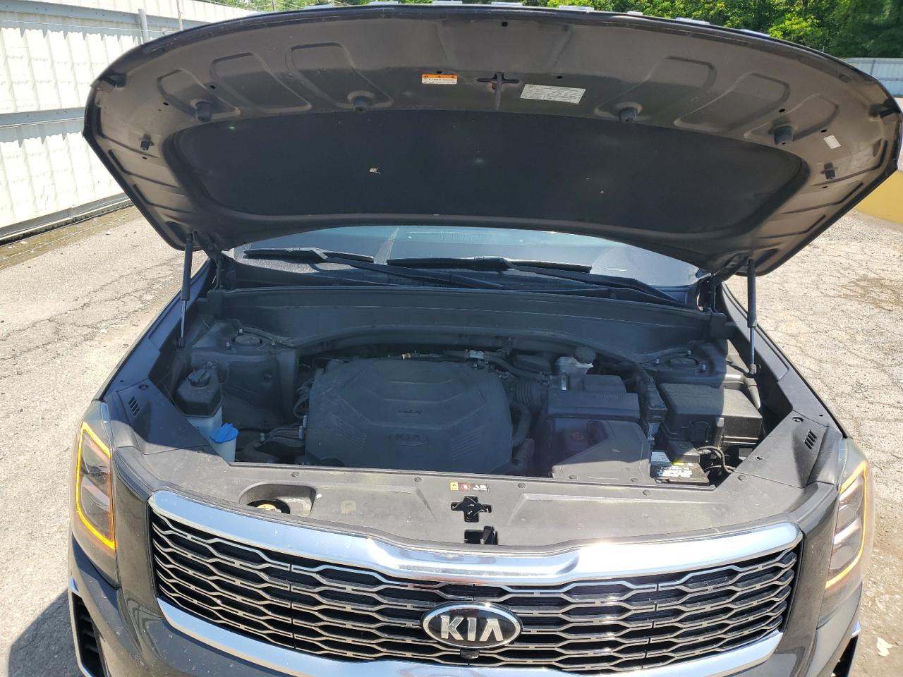 2020 Kia Telluride Sx VIN: 5XYP54HC0LG015165 Lot: 54560805