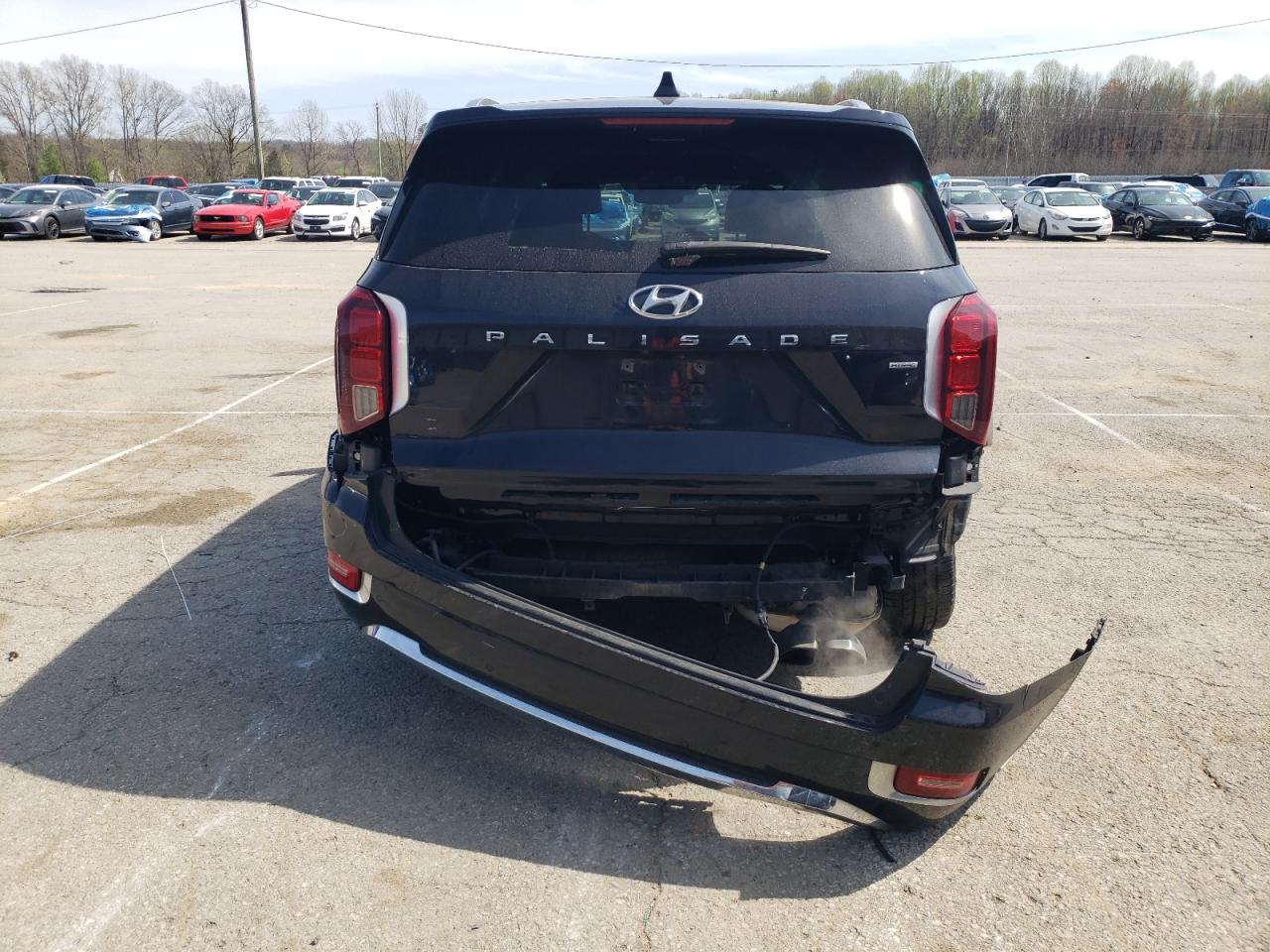 2020 Hyundai Palisade Limited VIN: KM8R5DHE8LU161267 Lot: 51529335