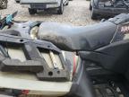 2022 Arctic Cat Alterra 600 Eps იყიდება Wayland-ში, MI - All Over