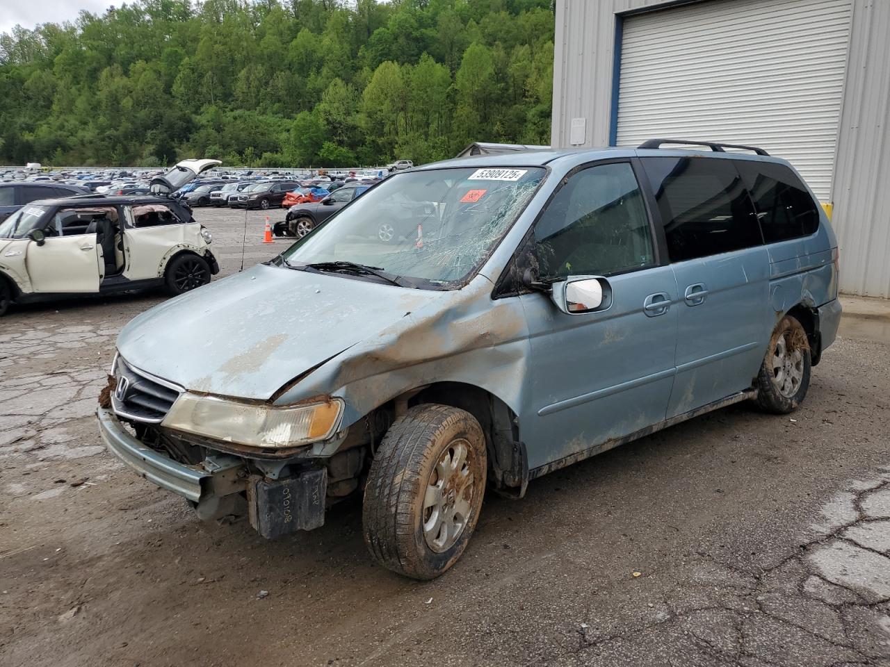 2003 HONDA All Models