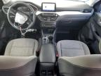 2021 Ford Escape Se de vânzare în Davison, MI - Front End