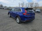 2024 Honda Cr-V Exl на продаже в Hillsborough, NJ - Front End