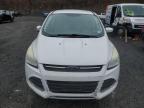 2013 Ford Escape Se на продаже в Marlboro, NY - Minor Dent/Scratches