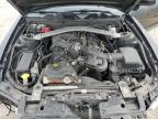 2013 Ford Mustang  for Sale in Bridgeton, MO - All Over