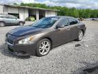 2012 Nissan Maxima S продається в Grenada, MS - Rear End